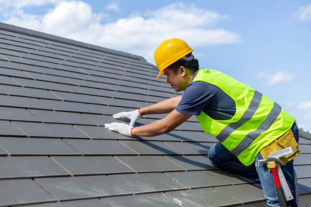 Best Metal Roofing Contractor  in North Sioux City, SD
