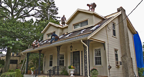 Best Roof Gutter Cleaning  in North Sioux City, SD